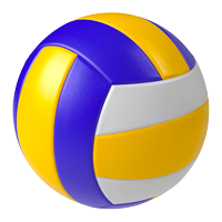 Sports Icon